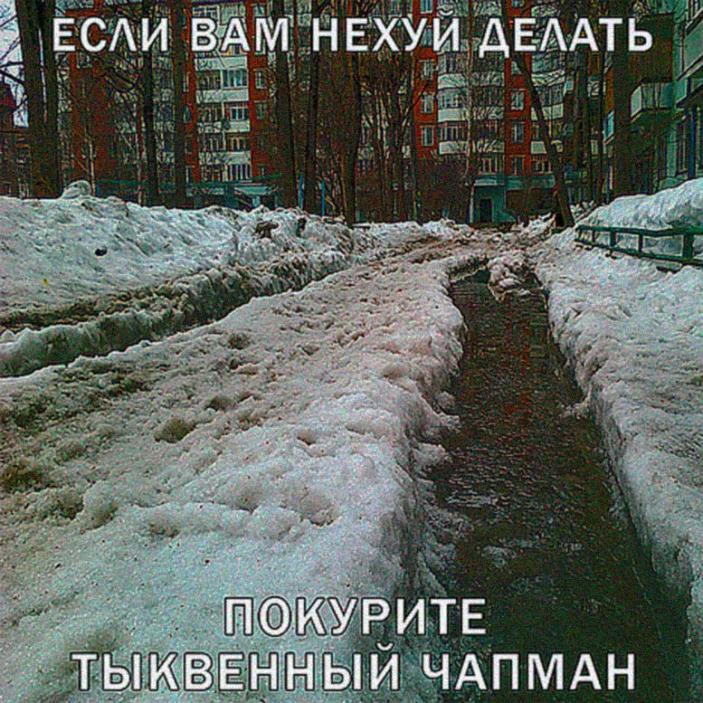 ЕСЛИ BAM НЕХУЙ ДЕЛАТЬ ПОКУРИТЕ ТЫКВЕННЫЙ ЧАПМАН