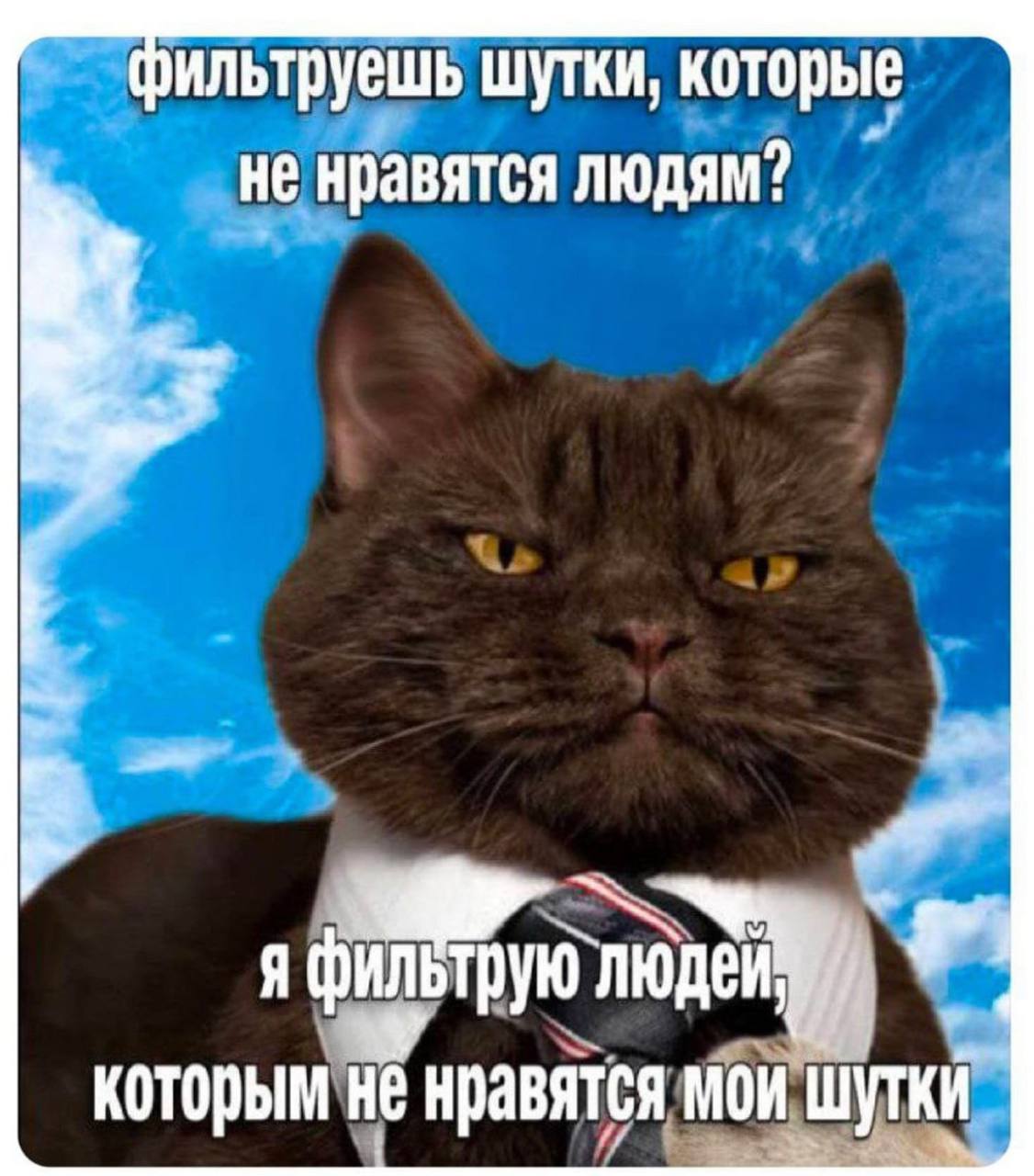 фильтруешь шутки, которые не нравятся людям? я которым HE нравятся мои Шутки