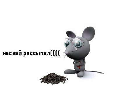 насвай