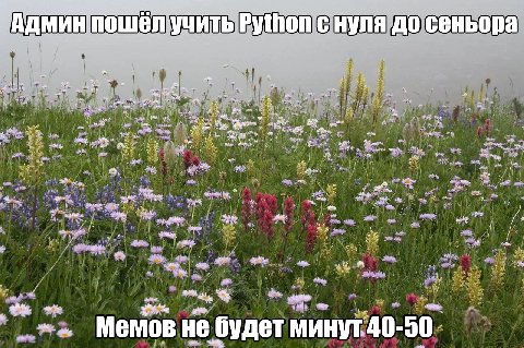 ОПС нуля до сеньора ple awe we 5% My vet wey ore aN a a mee opts Мемов не ‘будет минут
