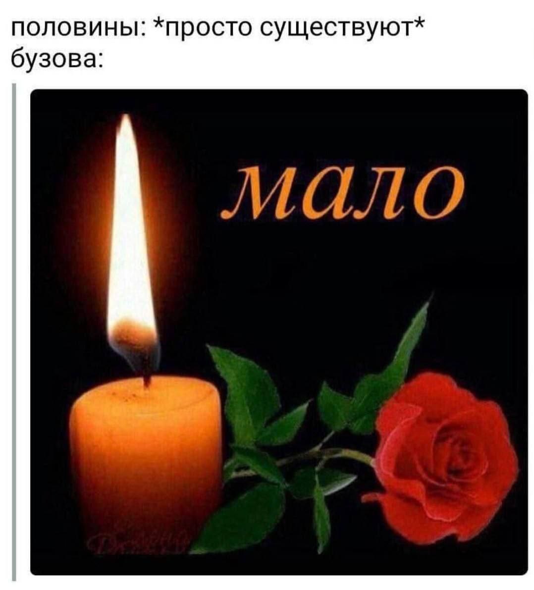 половины: *просто существуют* бузова: мало