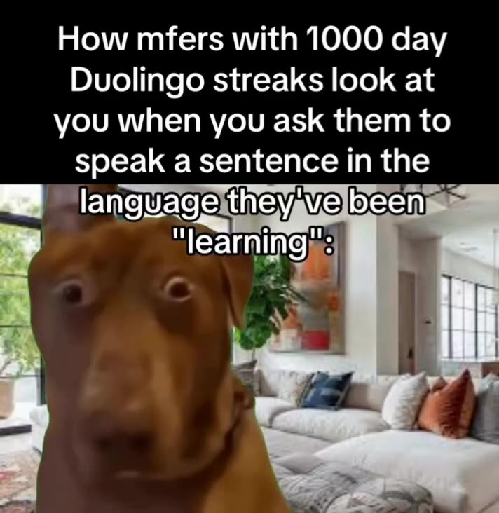 Duolingo streaks look at speak a sentence in the ты Nlangdageltheyave beenmn ИГ language thevavelbecenmn Mp language they Welbecnms