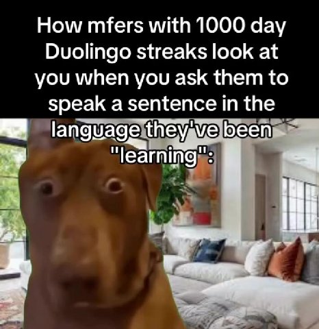 Duolingo streaks look at speak a sentence in the ты Nlangdageltheyave beenmn ИГ language thevavelbecenmn Mp language they Welbecnms