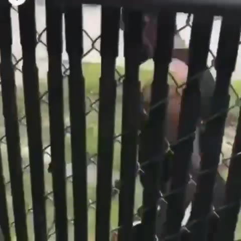 Обычный вторник в Комптоне