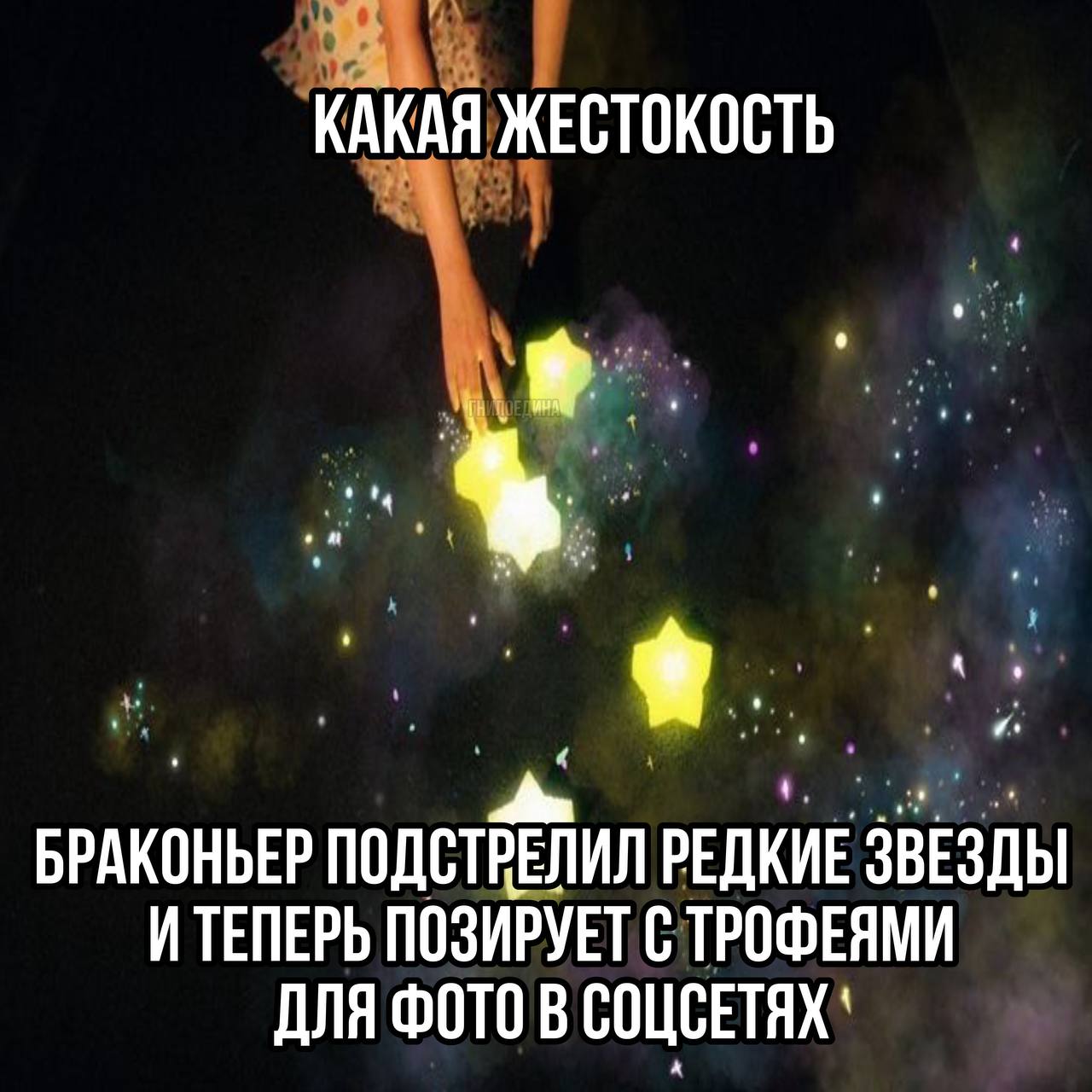 распространите