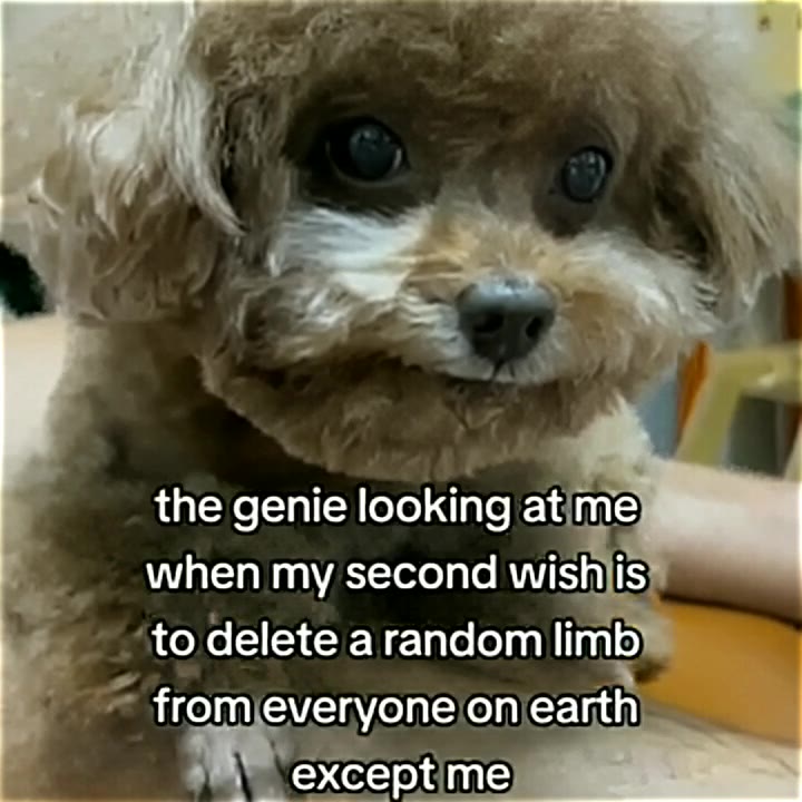 the genie looking/atime ’ todelete arandom limb from everyone onearth * to delete a randomllimb я when my second wishis , fromjeveryone onjearth » ~~ fromeveryoneion earthy