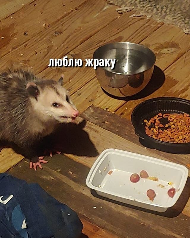 ставь сердечко, если ты