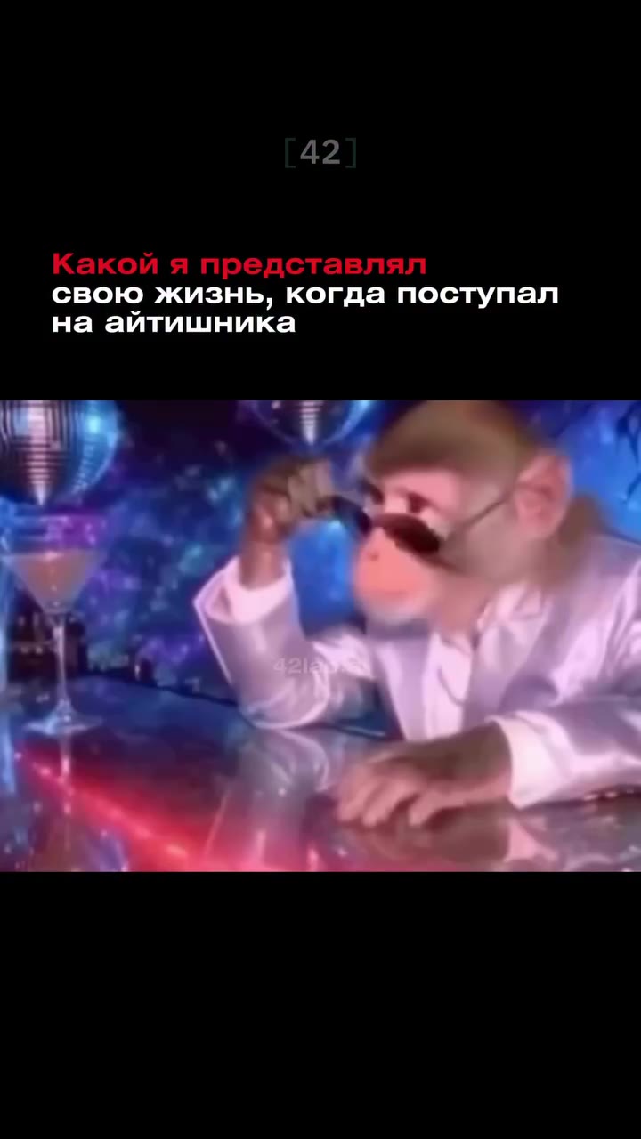 Какой я представлял свою жизнь, когда поступал на айтишника