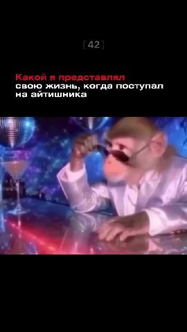 Какой я представлял свою жизнь, когда поступал на айтишника
