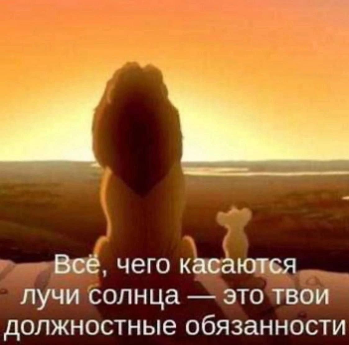 Все, чего касаются лучи солнца это твои должностные обязанности