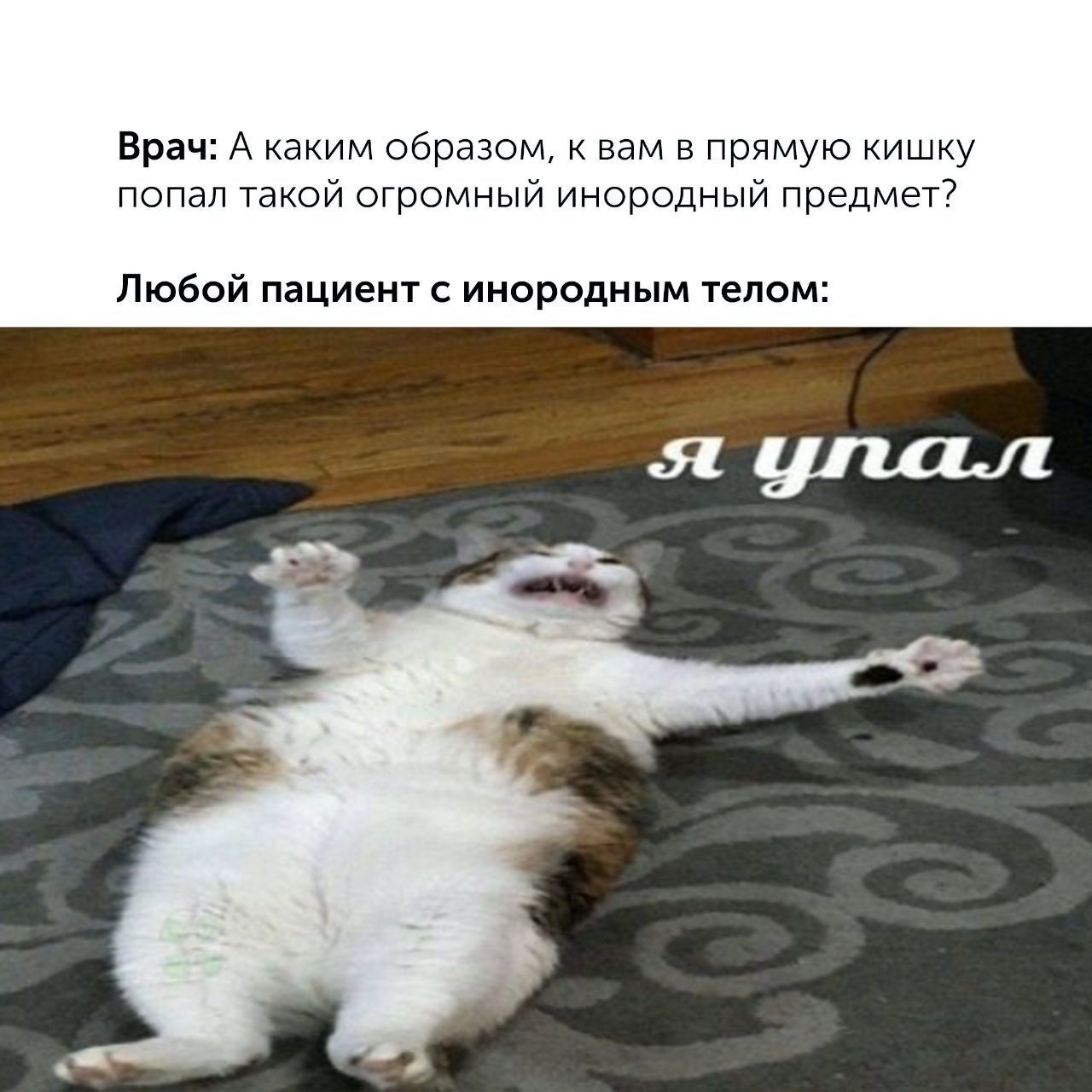 Врач: А каким образом, к вам в прямую кишку попал такой огромный инородный предмет? Любой пациент с инородным телом: