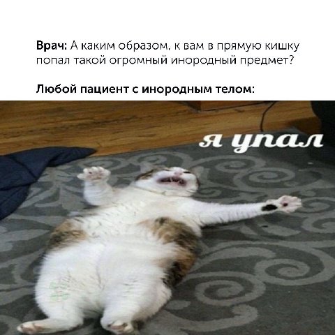 Врач: А каким образом, к вам в прямую кишку попал такой огромный инородный предмет? Любой пациент с инородным телом: