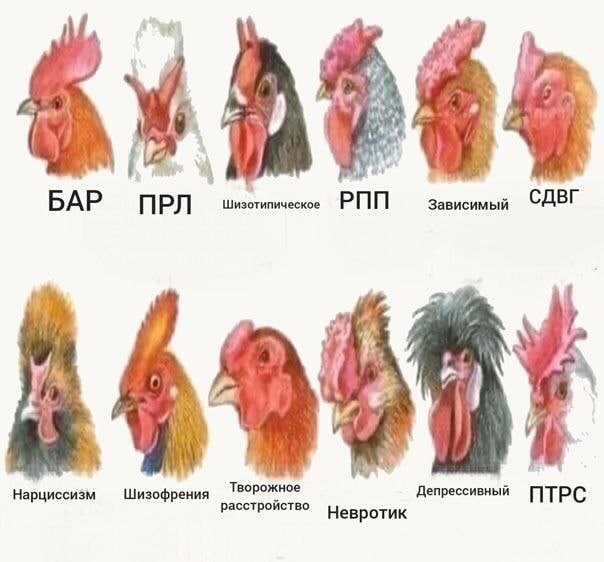 a БАР ПРЛ Зависимый СДВГ 369981 Творожное Нарциссизм Шизофрения Депрессивный ПТРС расстройство евротик