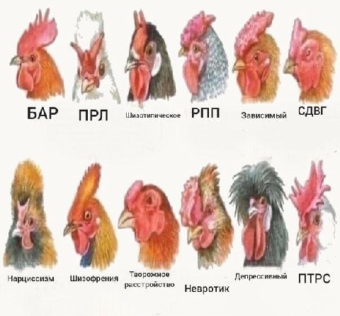 a БАР ПРЛ Зависимый СДВГ 369981 Творожное Нарциссизм Шизофрения Депрессивный ПТРС расстройство евротик