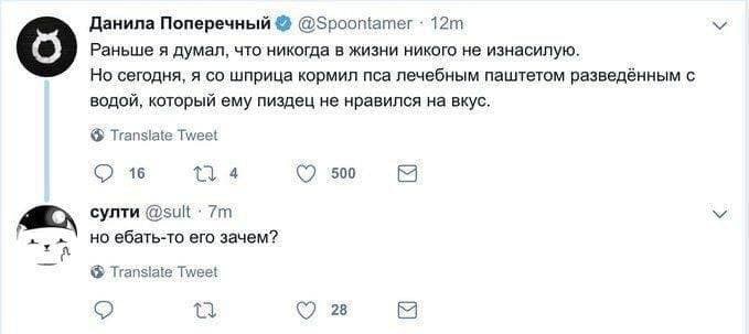 Данила Раньше я думал, что никогда в жизни никого не изнасилую. Но сегодня, я шприца кормил пса лечебным паштетом разведённым с водой, который ему пиздец не нравился на вкус. Translate Tweet 16 500 су