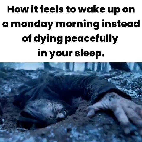 а monday morning instead of dying peacefully