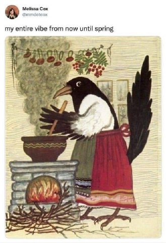 Melissa Cox @mmdotcox my entire vibe from now until spring у 3 A -4