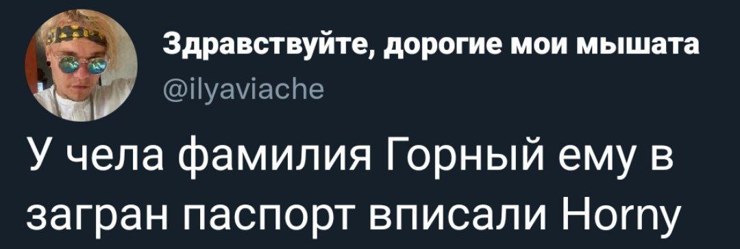 Здравствуйте, дорогие мои мышата @ilyaviache У чела фамилия Горный ему в загран паспорт вписали Horny