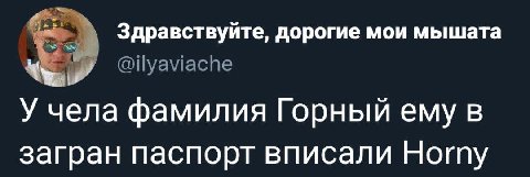 Здравствуйте, дорогие мои мышата @ilyaviache У чела фамилия Горный ему в загран паспорт вписали Horny