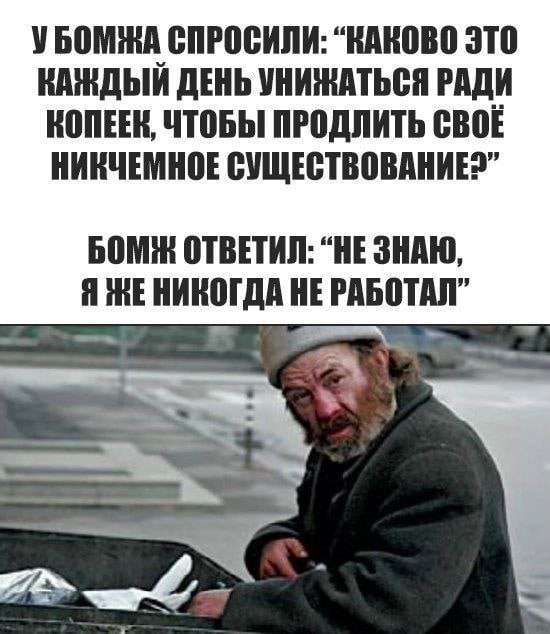 У СПРОСИЛИ: “КАКОВО ЭТО КАЖДЫЙ ДЕНЬ УНИЖАТЬСЯ РАДИ ЧТОБЫ ПРОДЛИТЬ CBOE НИКЧЕМНОЕ СУЩЕСТВОВАНИЕ” БОМЖ ОТВЕТИЛ: “HE SHAW, Я НЕ РАБОТАЛ” 7