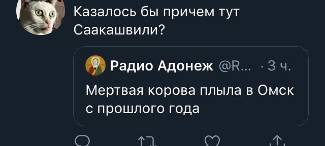 Казалось бы причем тут Саакашвили? Радио Адонеж Мертвая корова плыла в Омск с прошлого года
