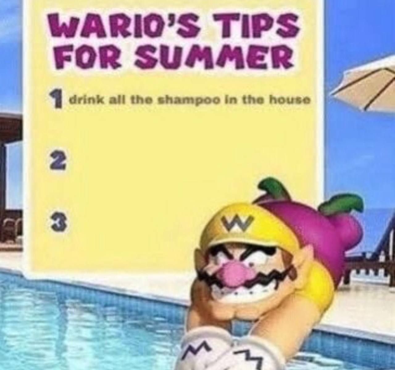 WARIO’S TIPS FOR SUMMER 4 drink all the shampoo the house