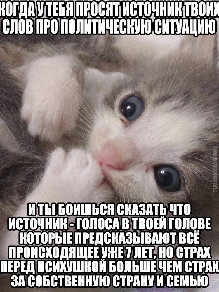 НОГДАУТЕБЯ СЛОВ ПРО ПОЛИТ ИЧЕСНУЮ СИТУАЦИЮ _ИТЫ БОИШЬСЯ СКАЗАТЬ ЧТО ИСТОЧНИК ГОЛОСА В ТВОЕЙ ГОЛОВЕ КОТОРЫЕ ПРЕДСКАЗЫВАЮТ ВСЁ ПРОИСХОДЯЩЕЕ 7 ЛЕТ, НО СТРАХ ПЕРЕД ПСИХУШКОЙ БОЛЬШЕ ЧЕМ СТРАХ ЗА СОБСТВЕННУ