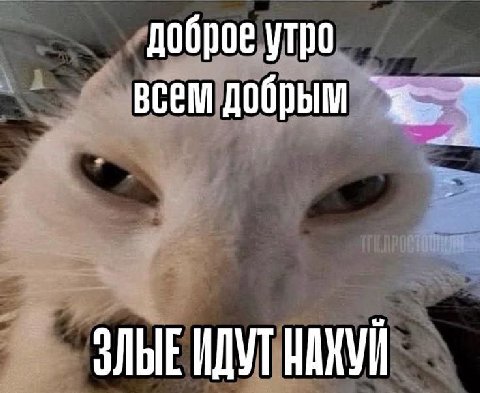 доброе утро всем добрым ЗЛЫЕ ИДУТ НАХУЙ