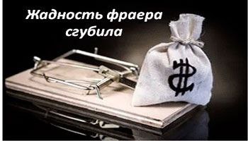 Жадность фраера сгубила