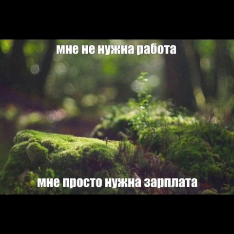 мне не нужна работа мне просто нужна зарплата