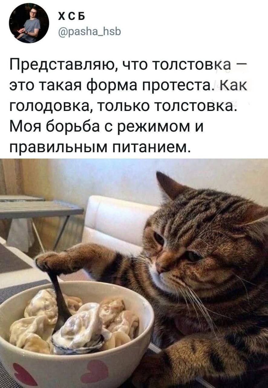 XCB о @pasha_hsb Представляю, что толстовка это такая форма протеста. Как голодовка, только толстовка. Моя борьба с режимом и правильным питанием.