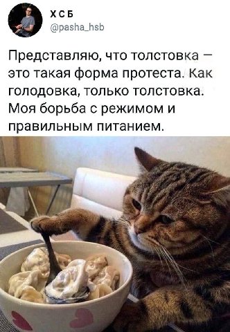 XCB о @pasha_hsb Представляю, что толстовка это такая форма протеста. Как голодовка, только толстовка. Моя борьба с режимом и правильным питанием.