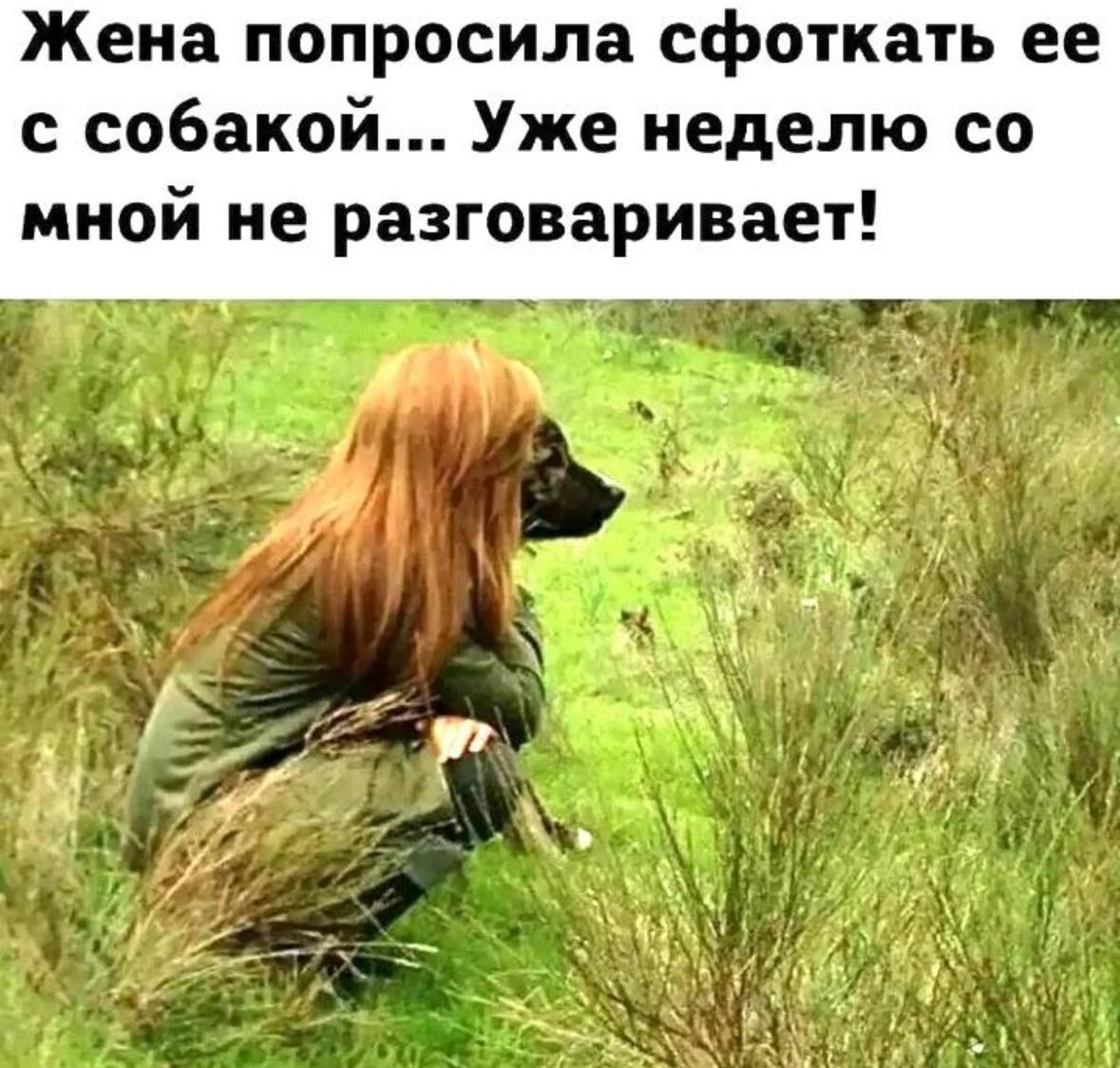Жена попросила сфоткать ее с собакой... Уже неделю мной He разговаривает! Я 7 24:4