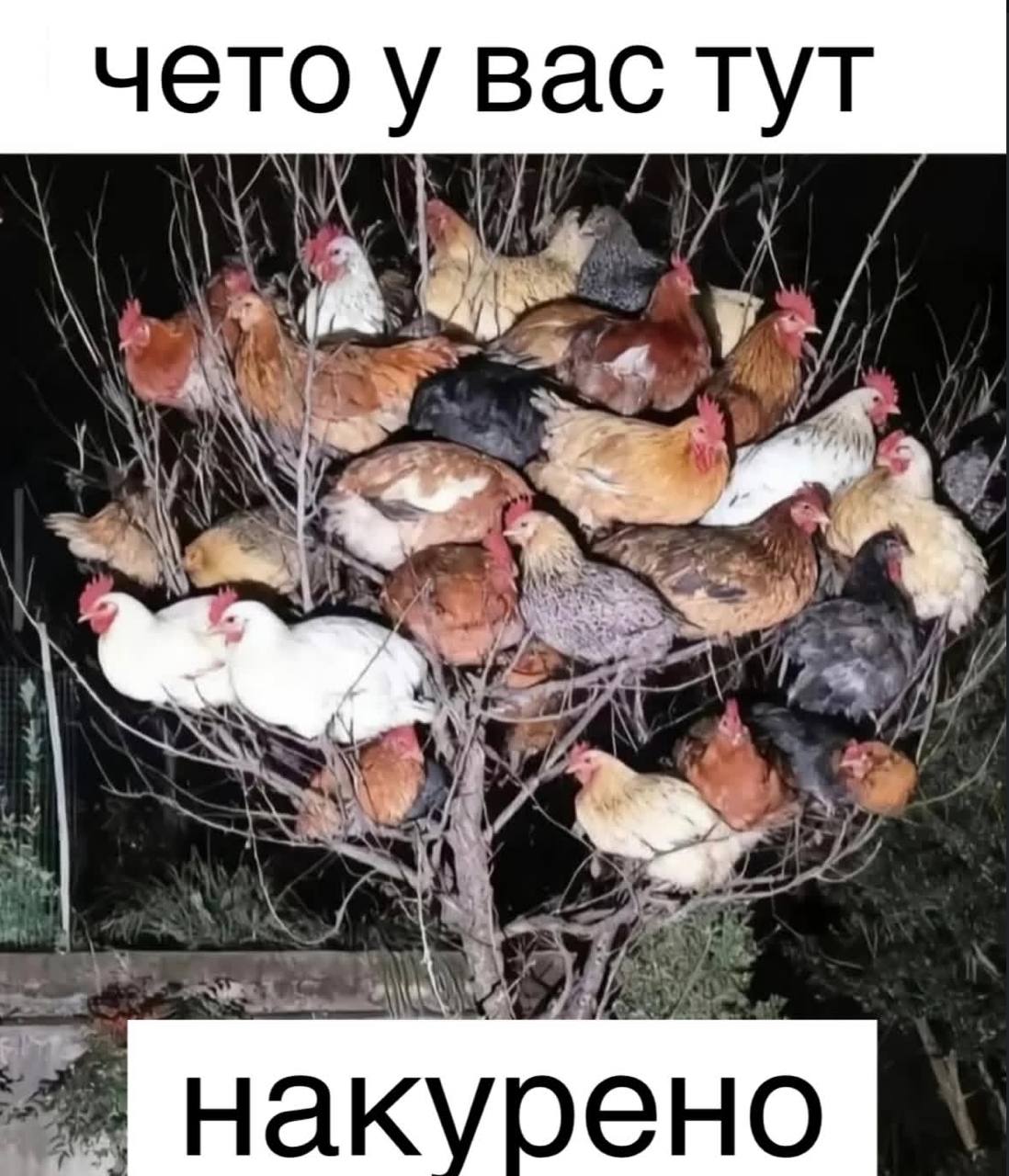 у вас тут чето у у 4 \А (у 1