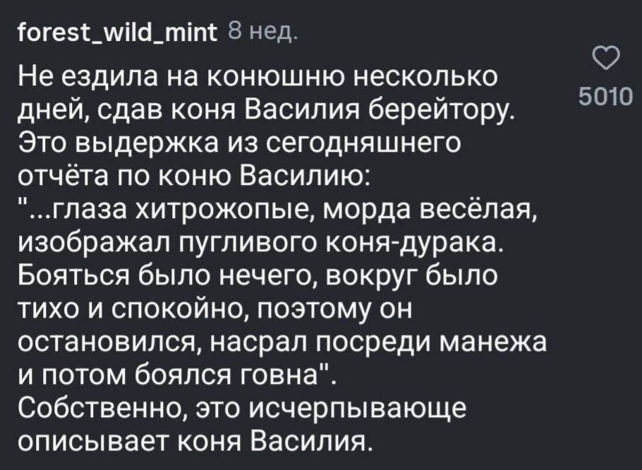 forest_wild_mint 8 нед. Не ездила на конюшню несколько дней, сдав коня Василия берейтору. Это выдержка из сегодняшнего отчёта по коню Василию: "..глаза хитрожопые, морда весёлая, изображал пугливого к