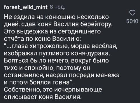 forest_wild_mint 8 нед. Не ездила на конюшню несколько дней, сдав коня Василия берейтору. Это выдержка из сегодняшнего отчёта по коню Василию: "..глаза хитрожопые, морда весёлая, изображал пугливого к