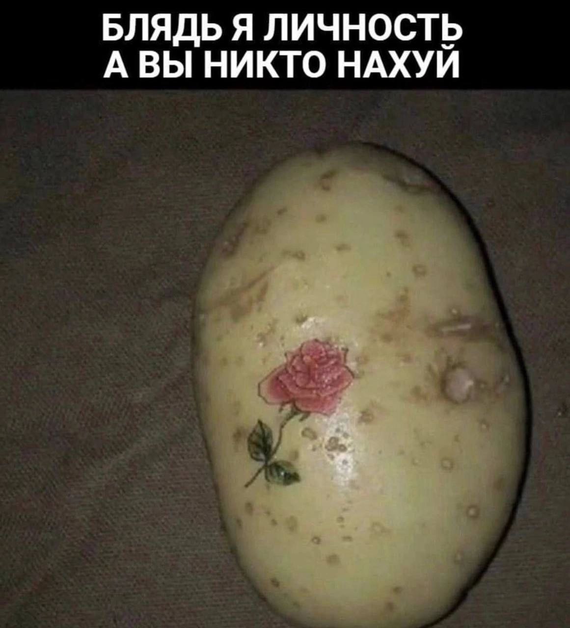 БЛЯДЬ Я ЛИЧНОСТЬ А ВЫ НИКТО НАХУИ