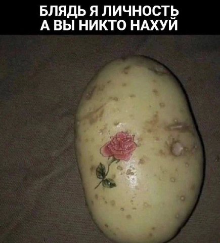 БЛЯДЬ Я ЛИЧНОСТЬ А ВЫ НИКТО НАХУИ
