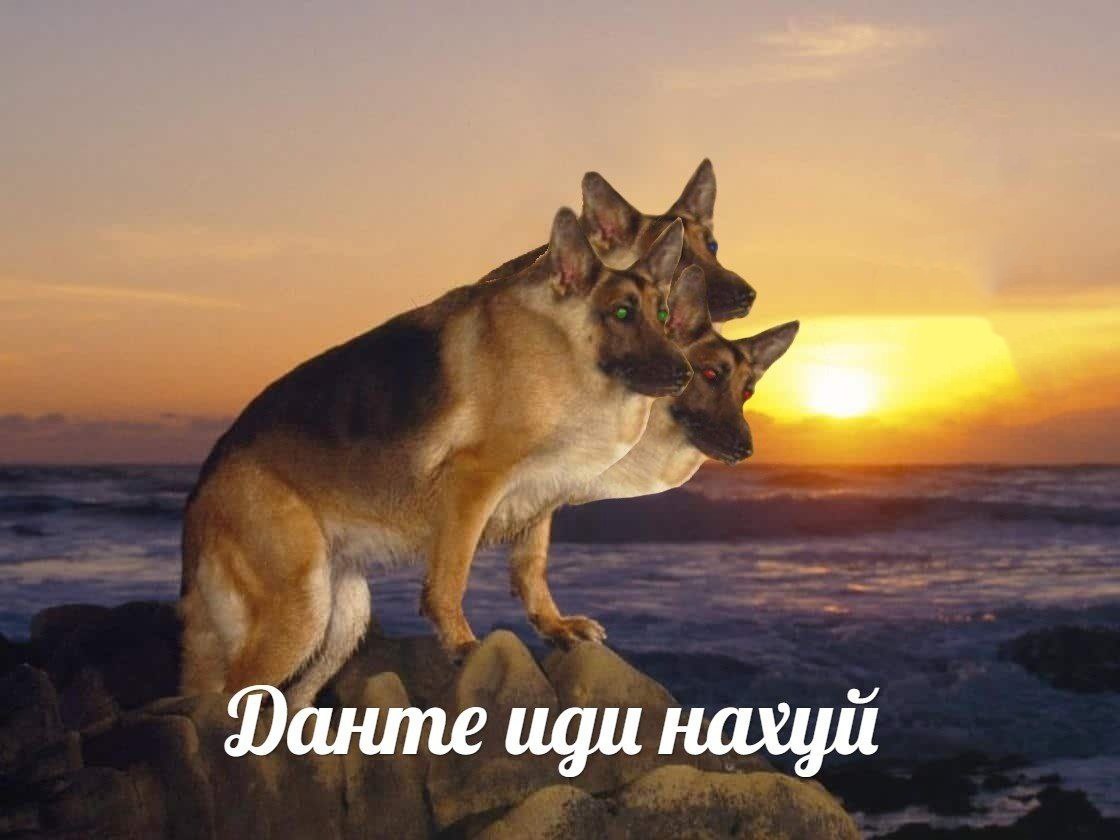 Данте иди нахуй