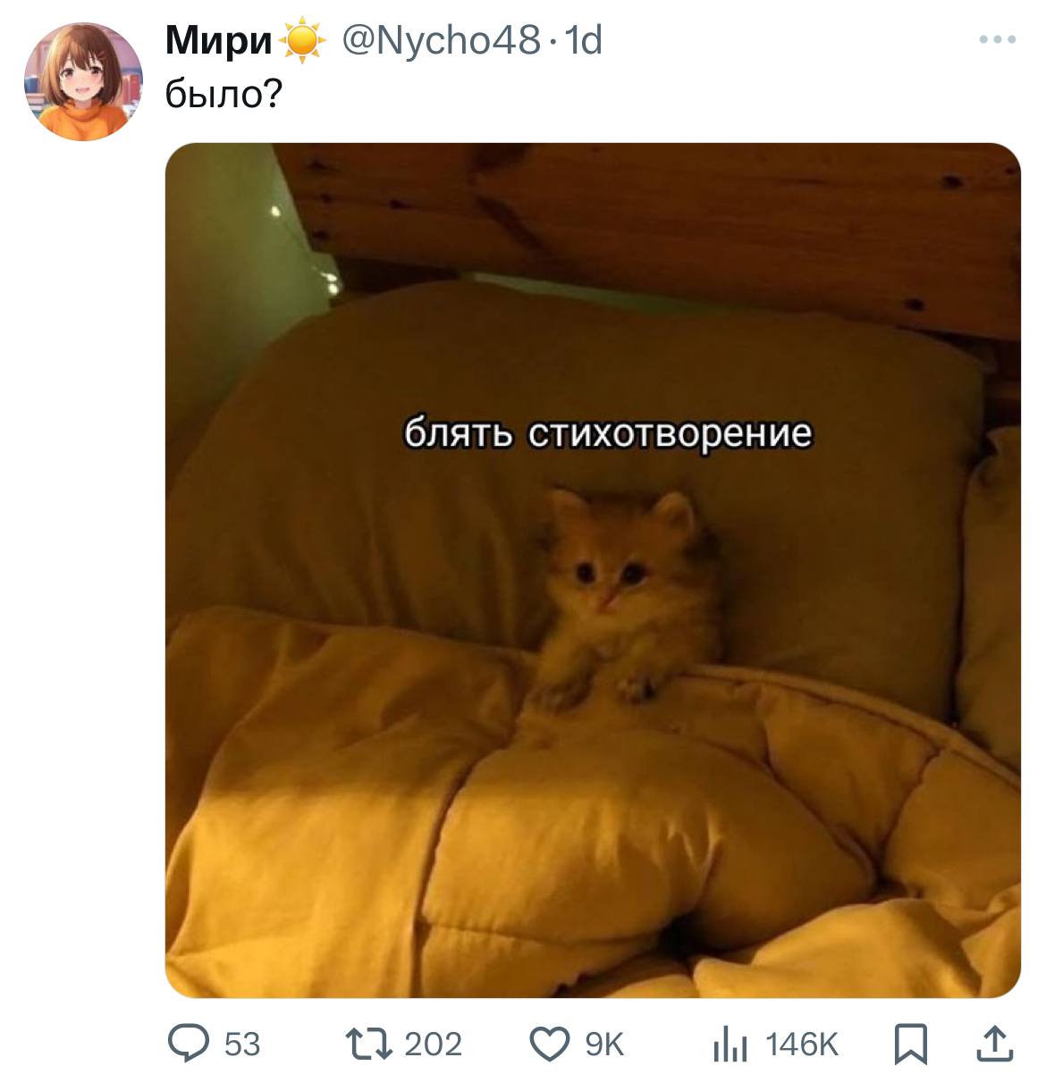 Мири @Nycho48 было? блять стихот ворение С 53 202