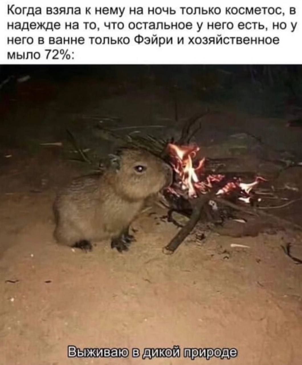 Когда взяла к нему на ночь только косметос, в надежде на то, что остальное у него есть, ноу него в ванне только Фэйри и хозяйственное мыло 72%: А Выживаю в.дикои природе