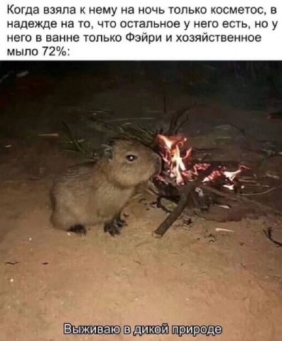 Когда взяла к нему на ночь только косметос, в надежде на то, что остальное у него есть, ноу него в ванне только Фэйри и хозяйственное мыло 72%: А Выживаю в.дикои природе