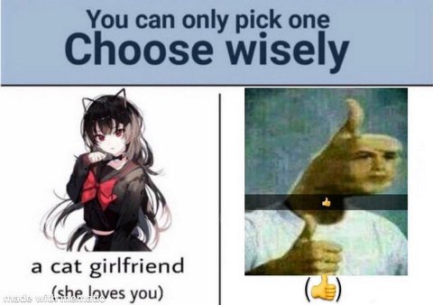 You can only pick one Choose wisely а cat girlfriend (she loves you)