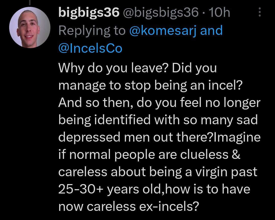 bigbigs36 Why you leave? Did you manage to stop being an incel? And so then, you feel no longer being identified with so many sad depressed men out if normal people are clueless careless about being a