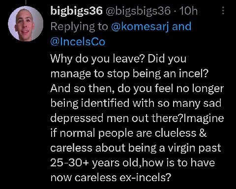 bigbigs36 Why you leave? Did you manage to stop being an incel? And so then, you feel no longer being identified with so many sad depressed men out if normal people are clueless careless about being a