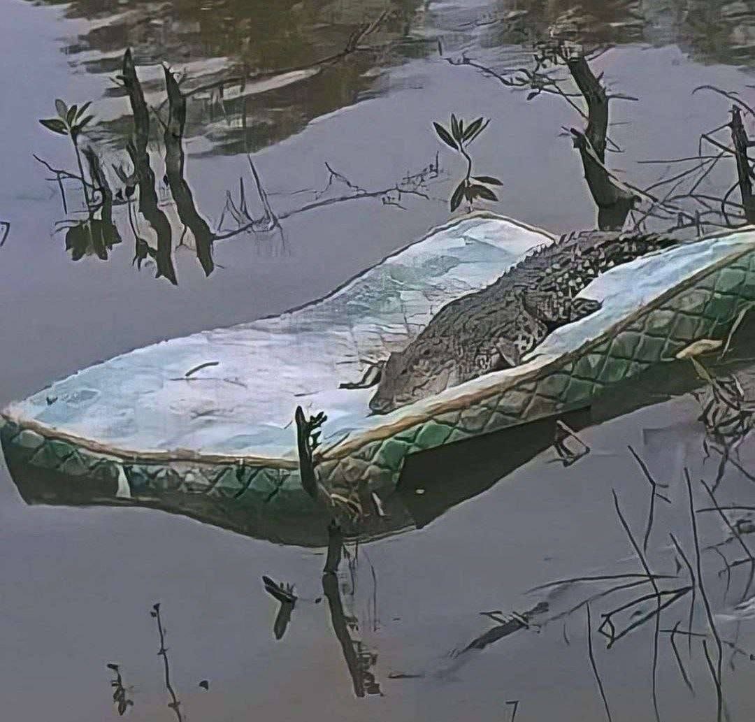 а