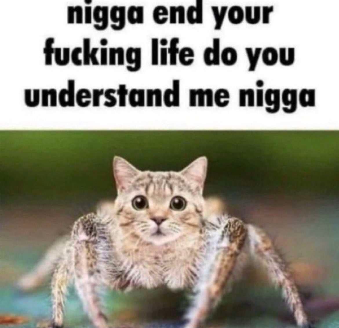 nigga end your fucking life you understand nigga