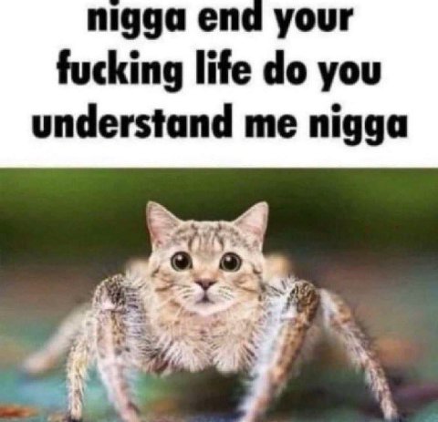 nigga end your fucking life you understand nigga