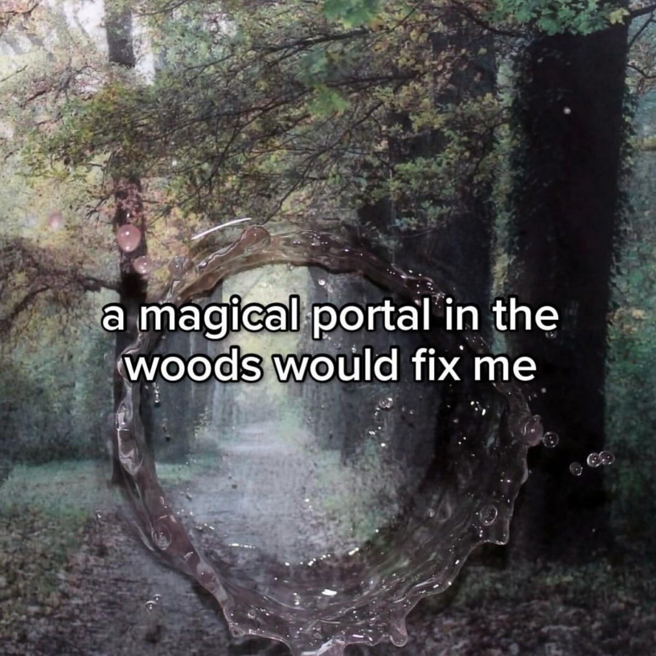 а portal in the woods would fix me
