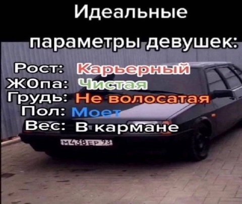 Идеальные параметры девушек: Рост: ЖОпа: Грудь: Не волосатая Пол: Вес: В кармане